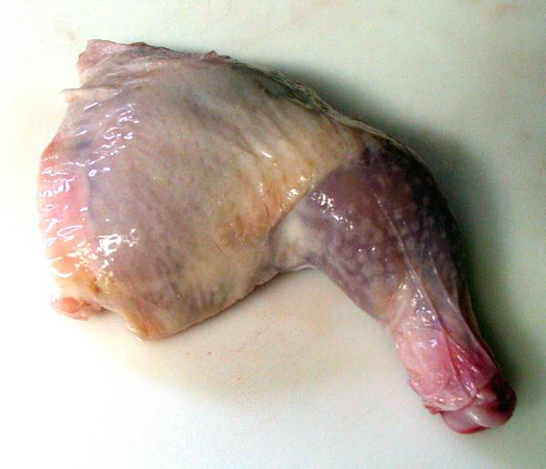 A quarter of a game bird