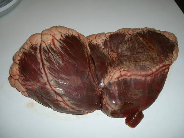 Bison Heart - Outside