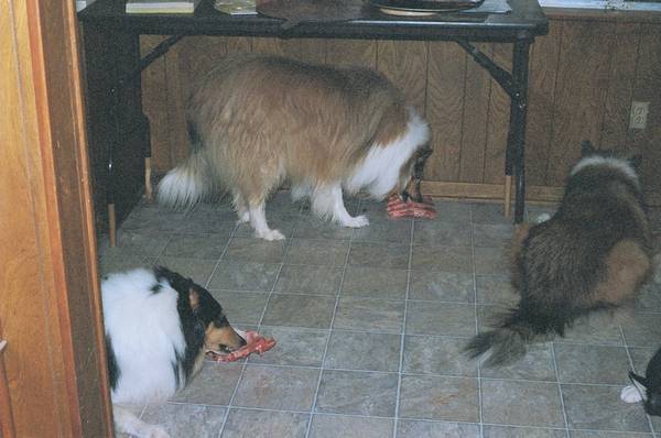 Máire, Rusty, and Connor