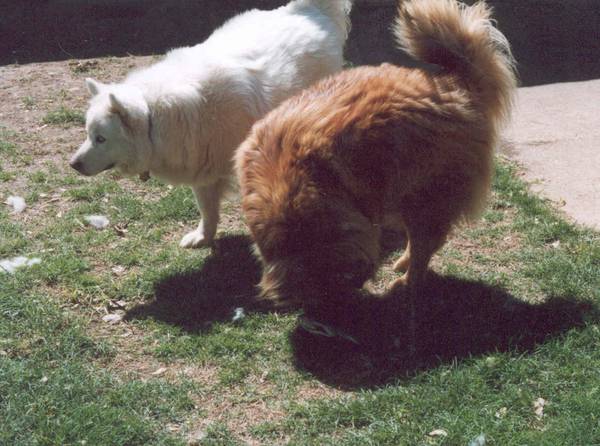 Jake and Nakota