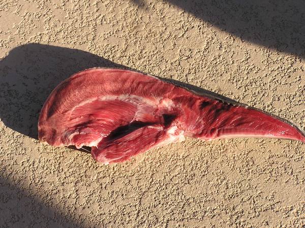 Cross section of a beef tongue