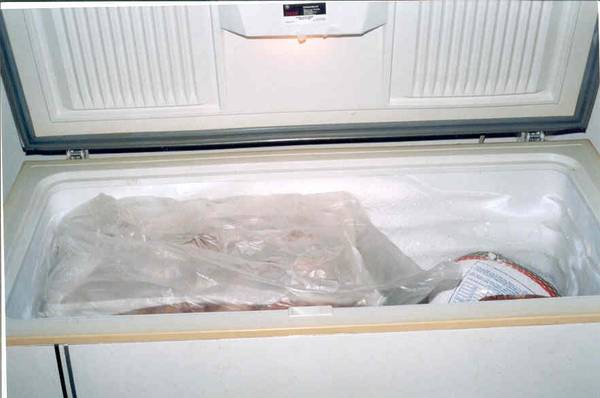 Larger Freezer