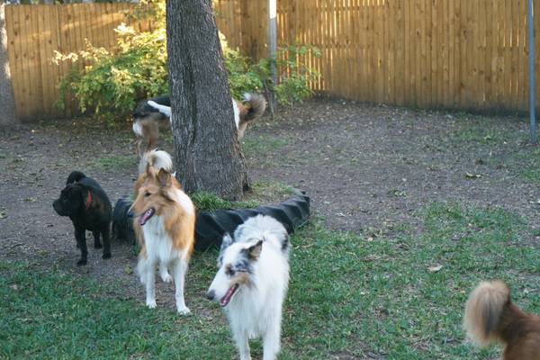 Mr. Wrinkles, Rusty, and Xander