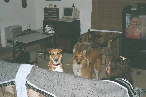 Sadie, Rusty, and the back of Celia's head