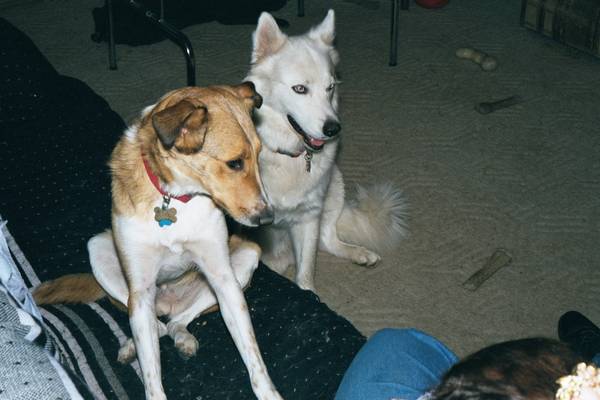 Sadie and Nakota